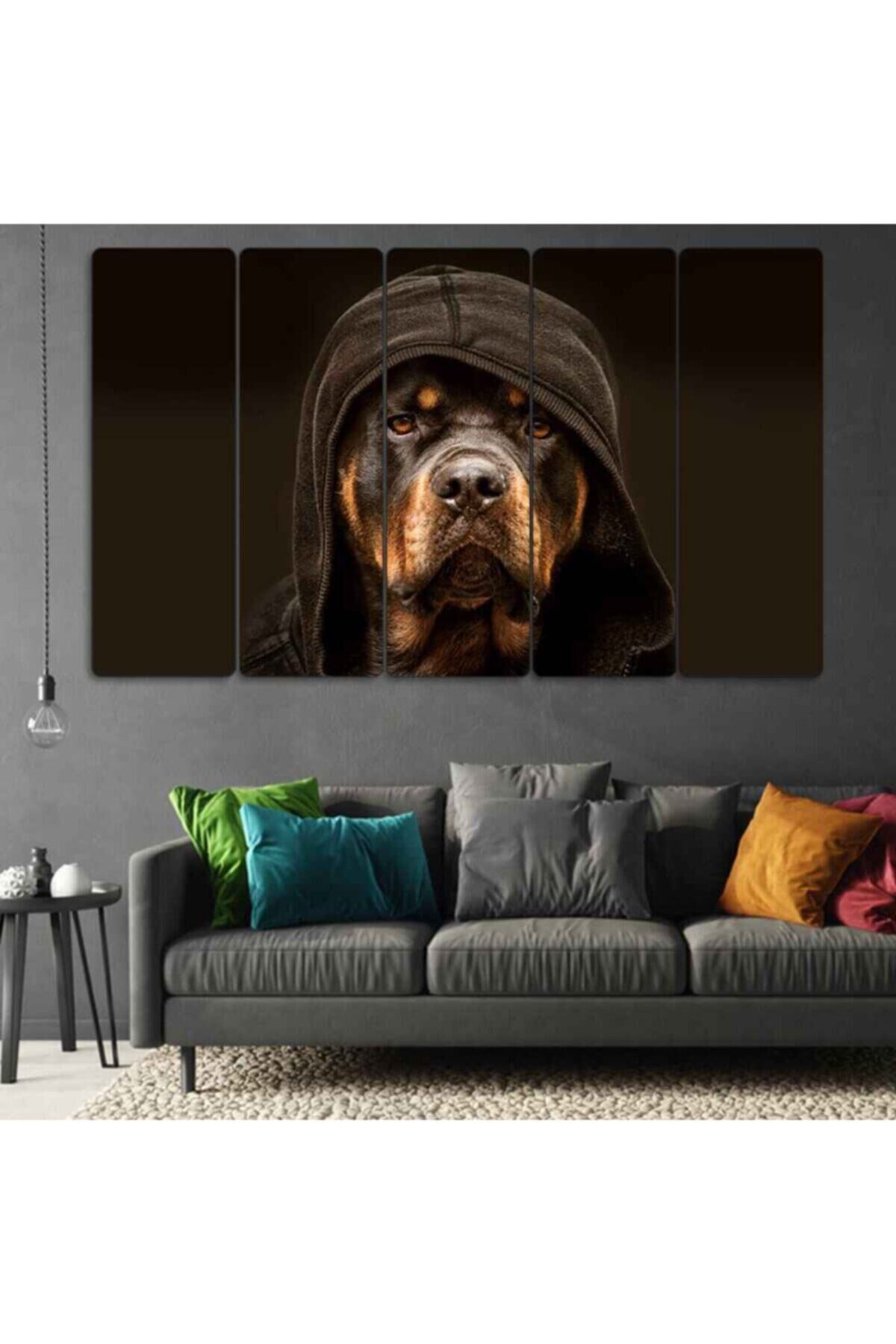 Kapüşonlu Rottweiler Köpek - 5 Parçalı Tablo